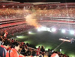 250px-estadio_da_luz_2005_3